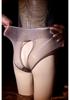 Sexy Women Sheer See Through Shiny Open Crotch Thong Plus Size Breathable Underwear Briefs Unisex Any Cut Elastic Tight T-Back