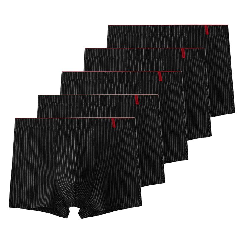 5 kusů Pánské bavlněné boxerky Antibakteriální spodní prádlo Pánské kalhotky XL XXL 3XL 4XL 5XL