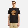 Timberland Men's Short Sleeve Tree Logo T-Shirt, Black/Wheat, Size L (TB0A6281P561)