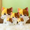 New Cat Doll Throw Pillow Honey Plush Toy Children's Doll Girls Birthday Gift Grab Machine Doll