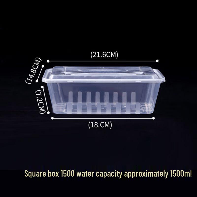 

Handun C1500 Disposable Striped Square Takeout Boxes