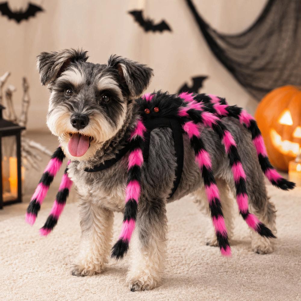 Spider Decoration Pet Spider Costume Furry Cat Cosplay Costume Pet Spider Harness Role Playing