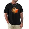 Top – T-shirts