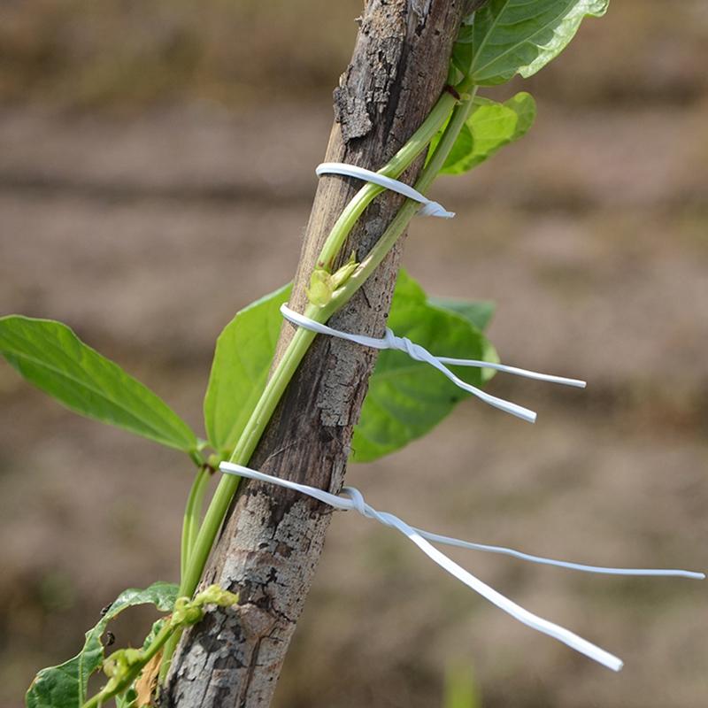 Legături de cablu pentru grădinărit Legătură răsucită din sârmă de fier Multifuncțională Plante cățărătoare Vii Reutilizabile Acoperite Sfoară de fixare Suport flori Legături de cablu