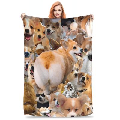 Corgi Deka pro psa Cestování letadlem Flanelová přehozová deka na pohovku Postel Teplá Měkká Vlastní Kvalitní Přehoz Dárek