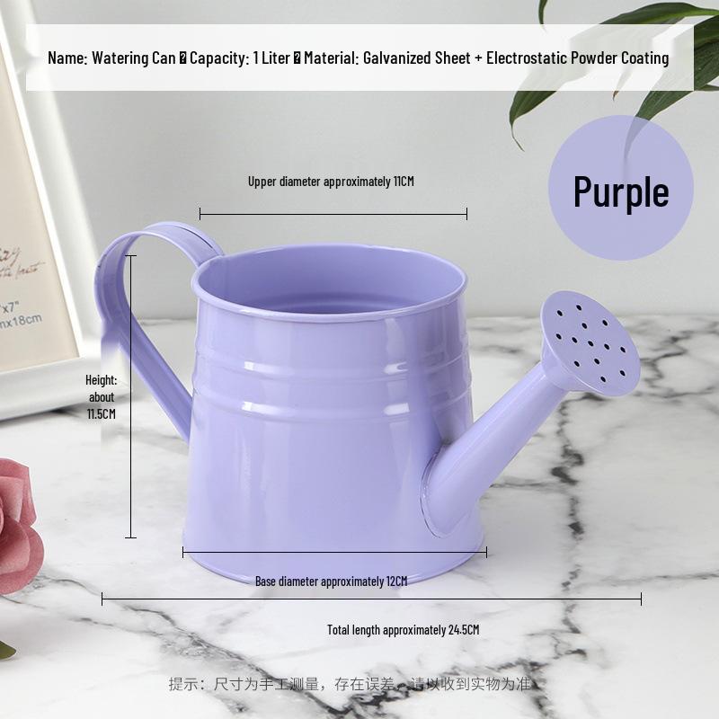 Galvanized Iron Flower Sprinkler Watering Can - Colorful Garden Bucket Available фиолетовый