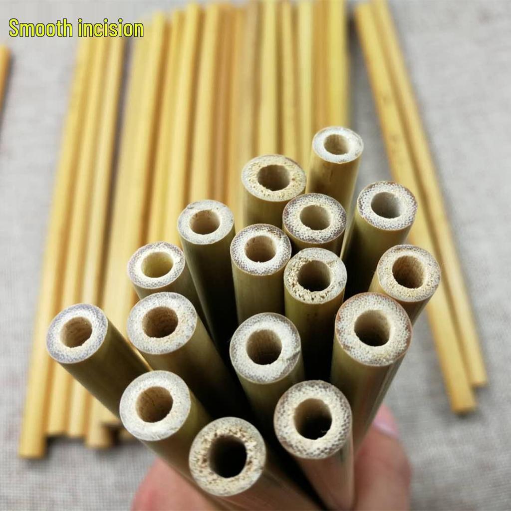 Yellow Bamboo Straws 23cm - Extended Version (Size 10256)