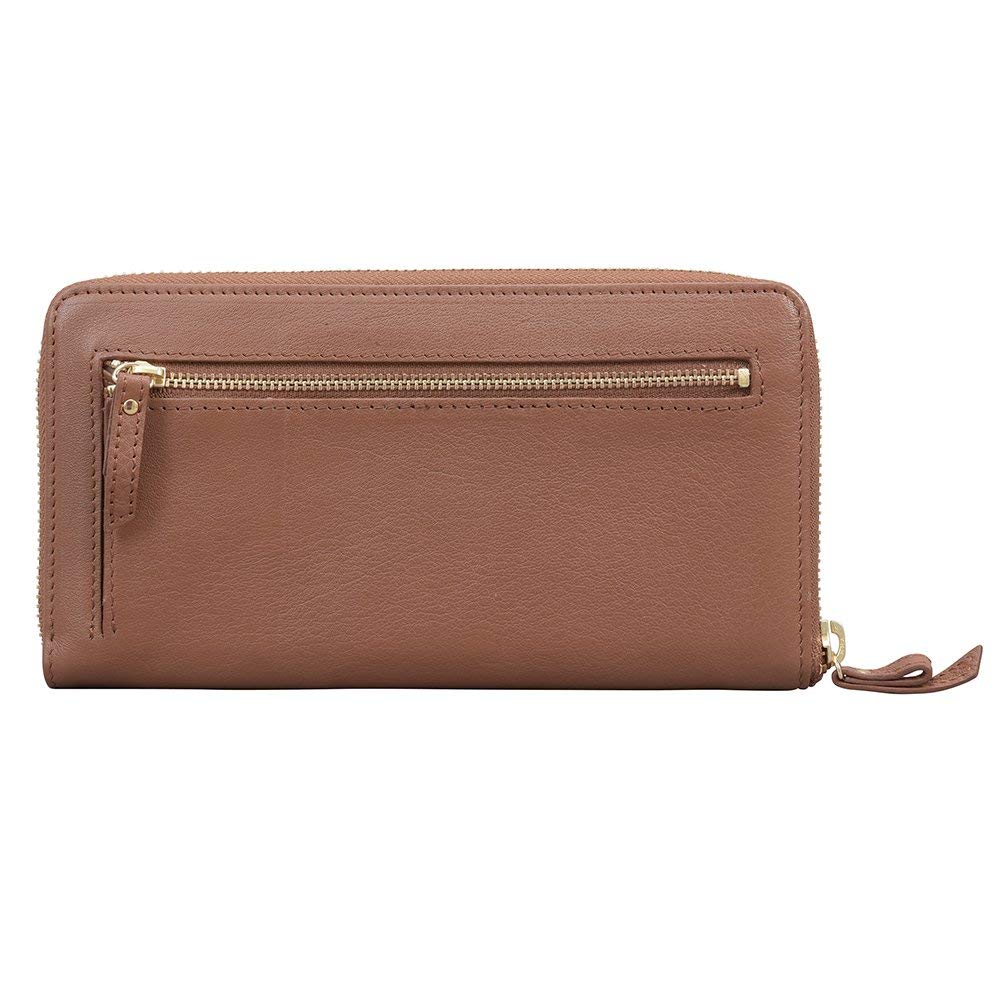 Chiocciola Genuine Leather Long Wallet with Ample Clear At a Glance Women's Storage, (Brown)