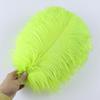 Piume di Struzzo Grandi 15-40 cm 10 Pezzi Piume Decorative Naturali Per Matrimoni Allestimenti Floreali Costume di Carnevale Cappello Decorazione