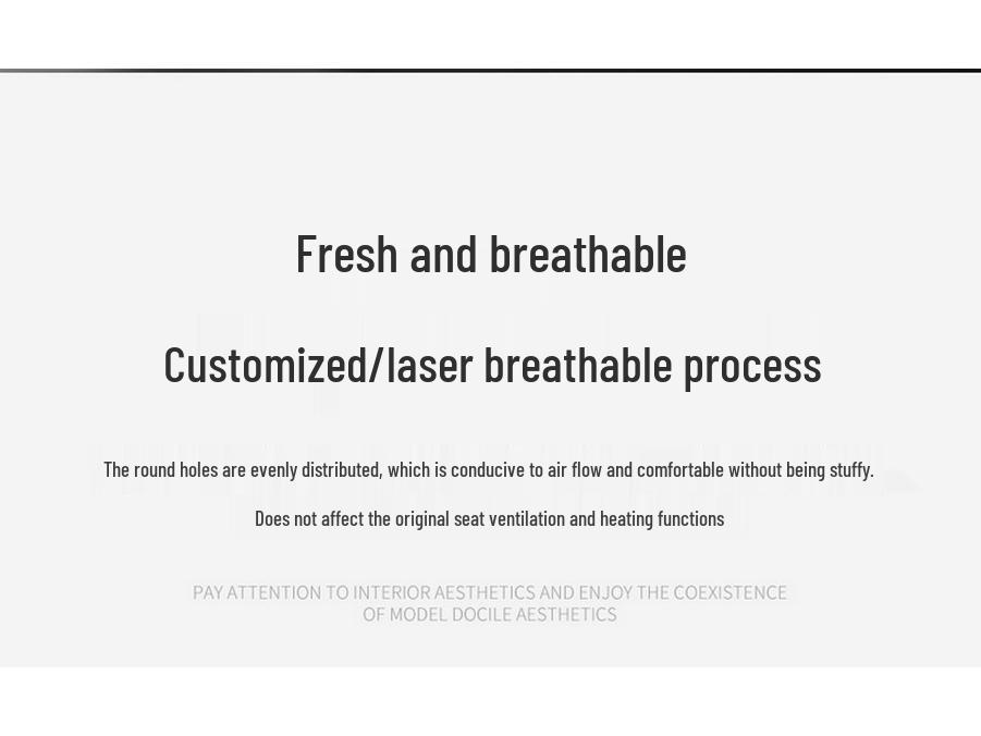 Xingrui L 2025 Universal Leather Car Seat Cushion - All-Season Use