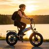 RANDRIDE YX20M-2,Städtisches Elektrofahrrad,doppelte 1000W Motoren,48V 20Ah Akku,20x4-Zoll Reifen,7-Gang-Schaltgetriebe.