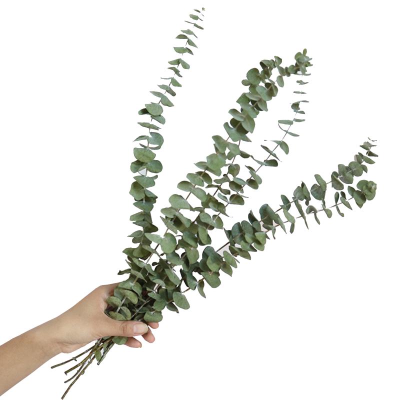 20pcs Eucalyptus Stems Dried Flowers Photography Props For Wedding Centerpiece Farmhouse Home