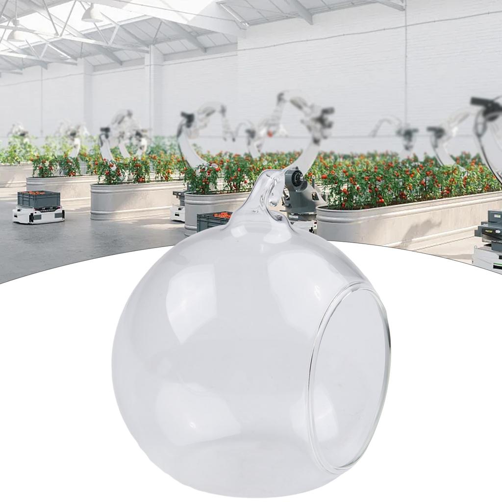 1PC Hanging Glass Ball Vase Succulent Plant Terrarium Container Flower Pots Garden Decoration Clear Borosilicate Glass Pot