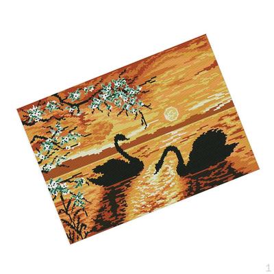 Embroidery Kit for Beginner 11CT Advanced Pattern