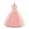 Girls' Formal Princess Mesh Dress with Appliques