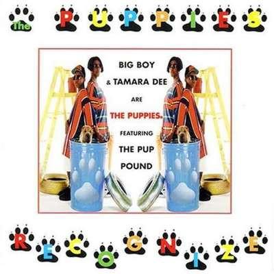 

CD PUPPIES - Recognize PD8866 Pandisc 1996 US Rap & Hip-Hop/R&B Used