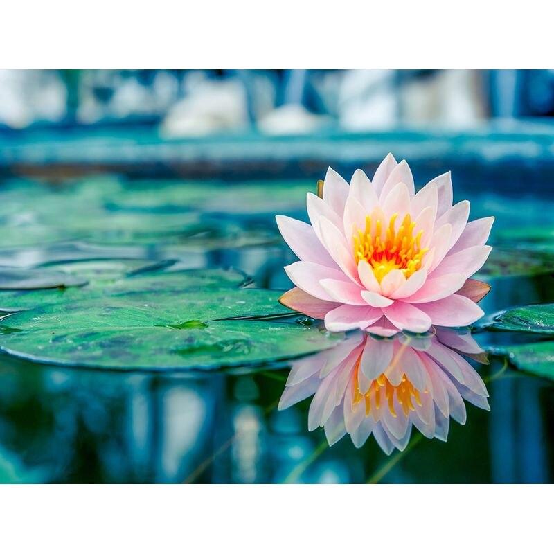 Diamond Painting Flowers Diamond Embroidery Kit For Adults Kids Diamond Mosaic Cross Stitch Decoration 40*50