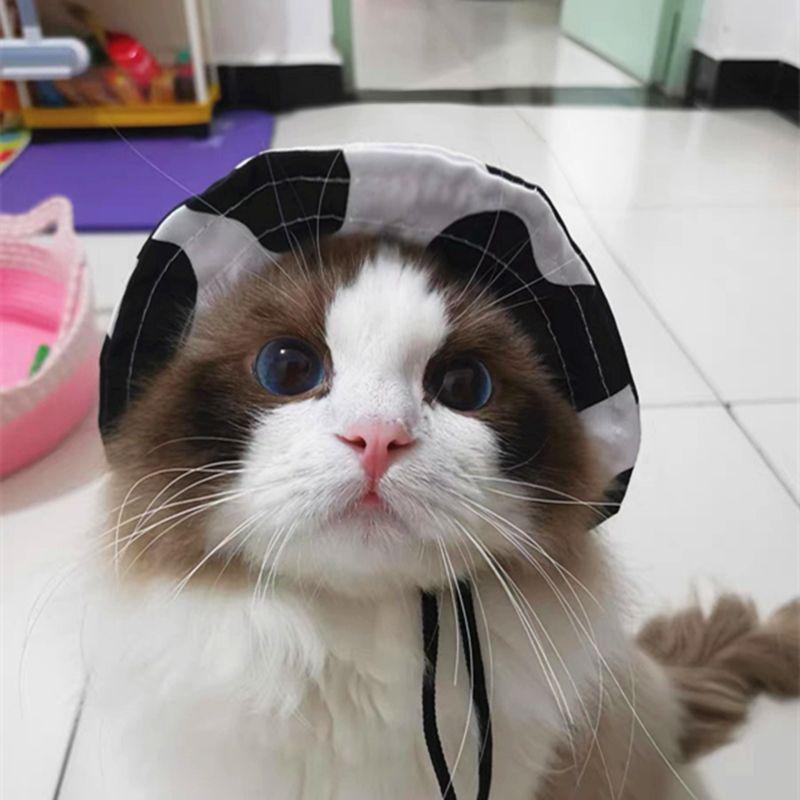 

Cat Bucket Hat Ziying Short Summer Outwear Lightweight Breathable Sun Hat Ears Leaking Dog Hat Pet Supplies S number (within 3.00kg) Dairy-Fisherman Hat