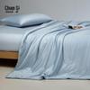 Chansi Silky Summer Silk Quilt