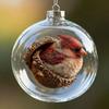 Forest Animal Acorn Clear Ball Ornaments Plastic Christmas Hanging Ball with Cozy Pine Cone Animal for Winter Xmas Tree Decor