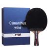 DHS Hurricane PRO Offensive Table Tennis Racket - Dragon Single Racket Set with Gift Box