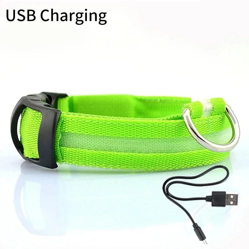 Haustier Hund LED Leuchtender Halsband USB Wiederaufladbar Nachtlicht Leuchtendes Blinkendes Halsband Anti-Verlust Outdoor Laufen Sicherheit Zubehör