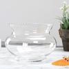 Rundes Glas-Spitzen-Fischbecken - Mini Transparentes Aquarium für Goldfische & Schildkröten