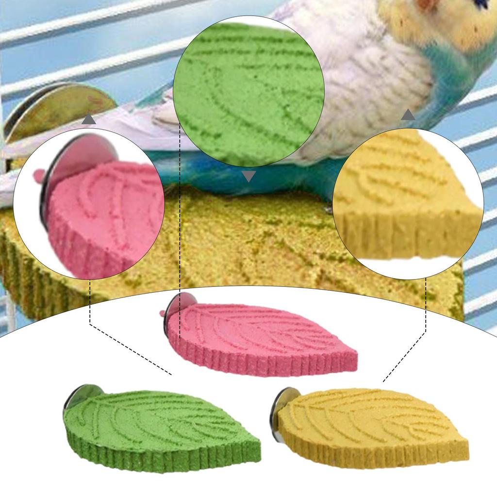 Pet Parrot Perch Supplies Paw Grinding Stick for Conures Finches Small Bird