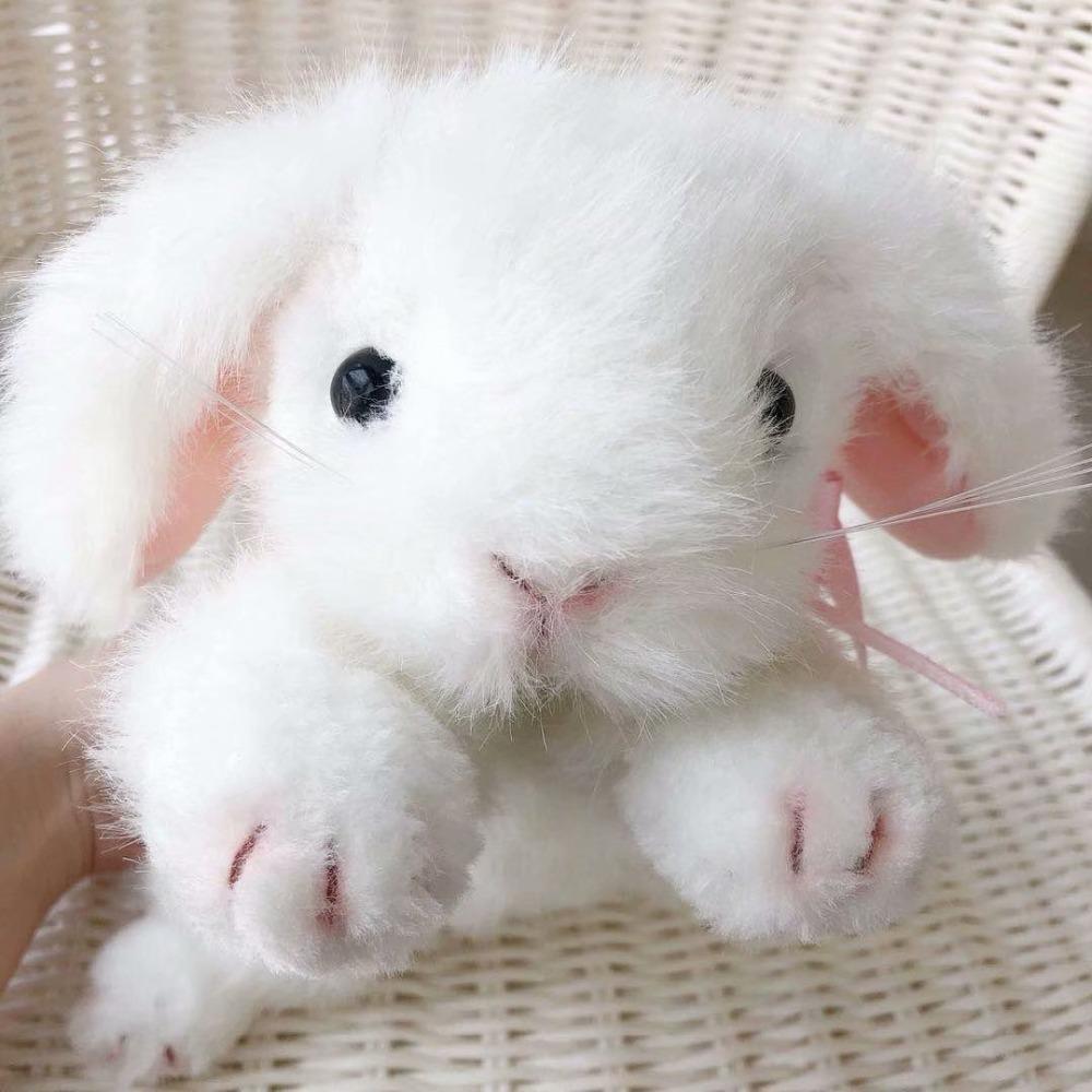 Super High Quality Simulation Plush White Rabbit Lifestyle Rex Bunny Neck Bow Home Decor Girl Room Decor Stuffed Animal Doll