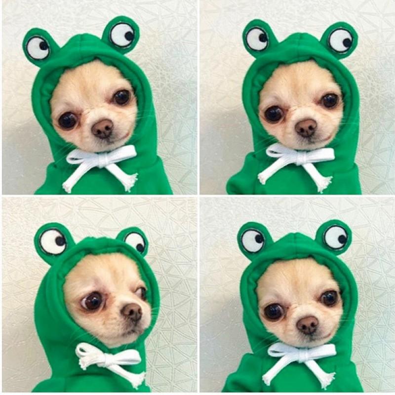Pet Hoodie Small Medium Dogs Cats Winter Warm Fleece Dog Sweater Cat Clothing Cute Cheese Print