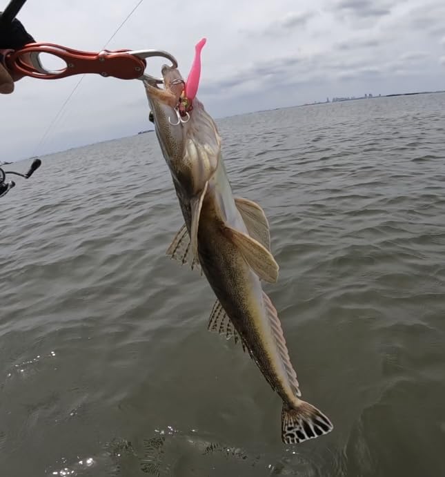 KAJIKI Vibration Jig Head Set VIB JIG for Sea Jig Shad and Metal Vibration Shad and Shad Body KVJ-10 Bass, Flounder, Worms, Heads, Worms, Bluefish.