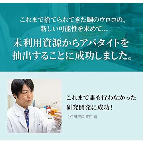 RUKEN Kirarun Toothpaste Powder Type, Mint, 55g (x 1)