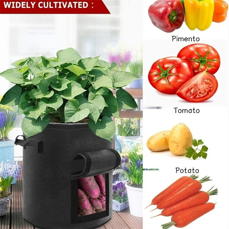 Gallon Felt Grow Bags Gardening Fabric Grow Pot Vegetable Strawberry Growing Planter Garden Potato Planting Pots