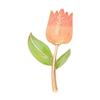 New 3D Rose Flower Alloy Phone Case Charm with Rhinestone Droplet.