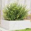 VidaXL Planter White 70x70x23 Cm Solid Pine Wood, Outdoor Planter, Flower Box, Plant Box, Planter of 847194