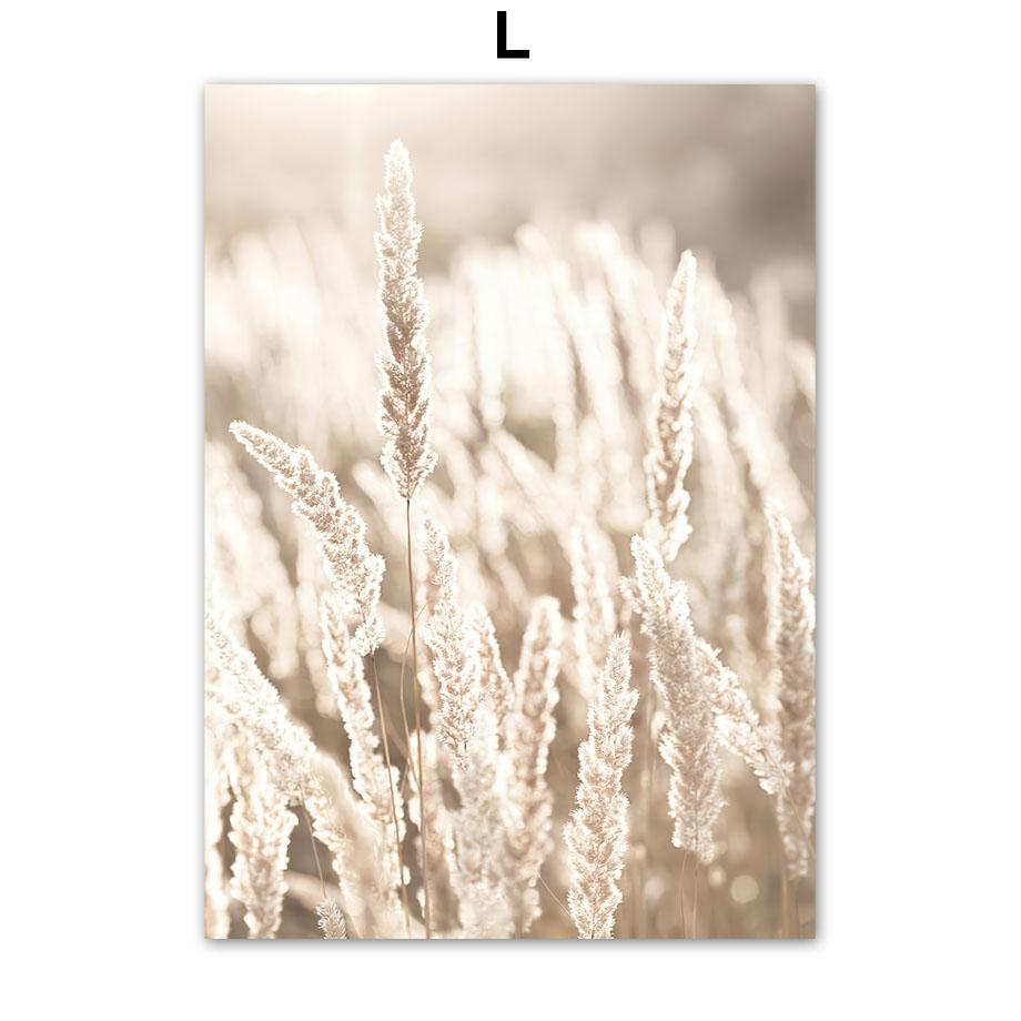 Begonia Beach Reed Feather Wall Art Nordic Posters And Prints Canvas Painting Wall Pictures For Living Interior Room Mural Decor