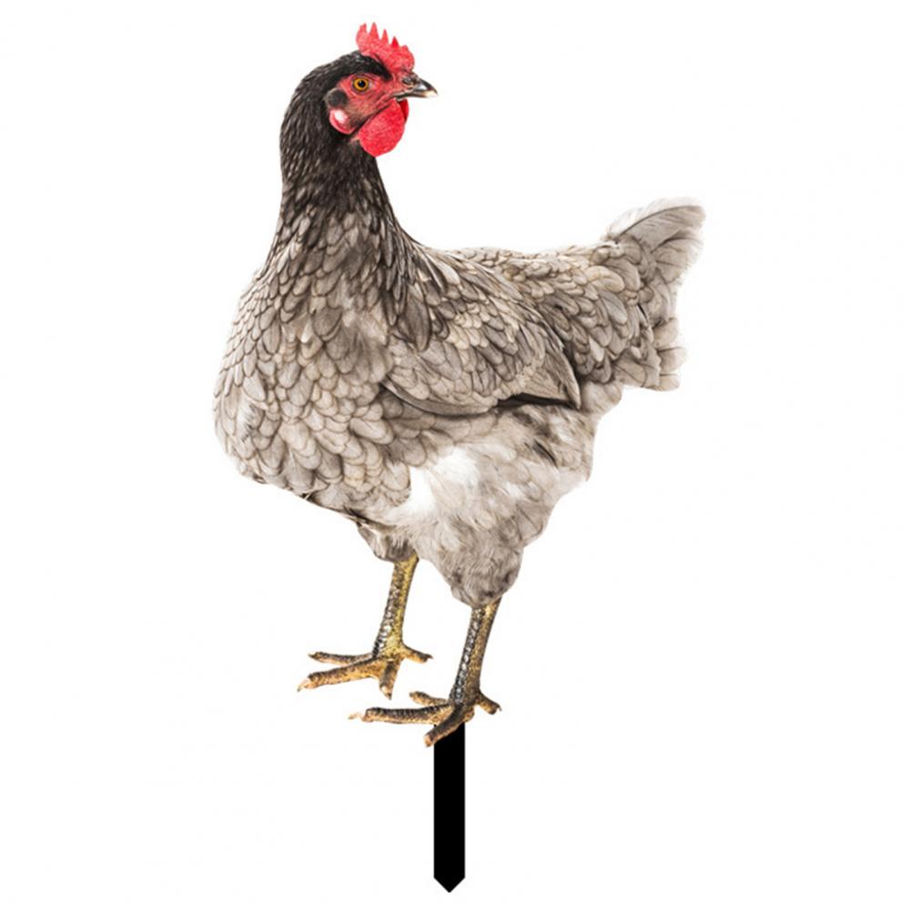 Ornamental Eco-friendly Rooster Decor Garden Statue Chicken for Garden