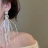 Silberne Strass-Inlay Wassertropfen Feder Quaste Ohrstecker, Glänzende Fee Koreanischer Stil Ohrschmuck für Damen.