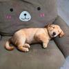 40Cm Realistic Pig Plush Toy Cute Funny Animal Stuffed Pillow Soft Dog Cat Sleeping Cushion Creative Home Decor Birthday Gift