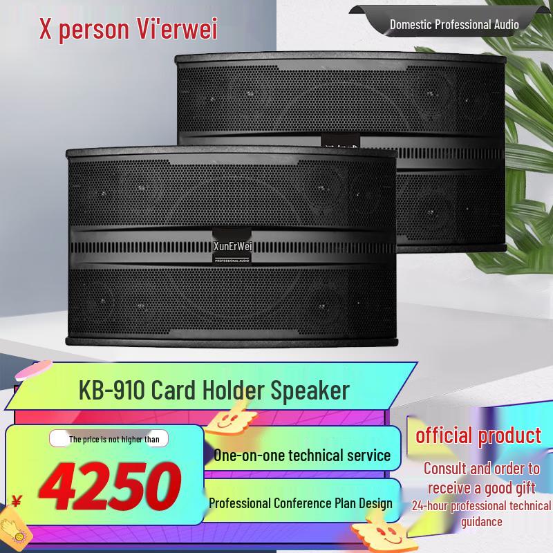 Xun Er Wei Professional Conference & Entertainment Audio-Visual Equipment (CN version)