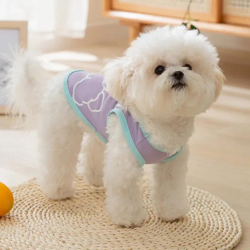 New Dog Summer Cool Clothes Cute Bear Vest Teddy Small Dog Two Feet Cat Pet Clothes Pet Costume
