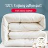 Nanjiren Brushed 100% Xinjiang Cotton Quilt