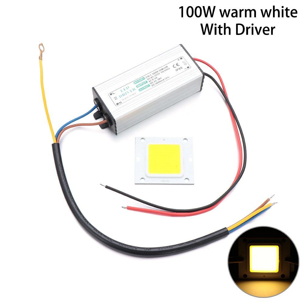 For Flood Bulb Lamp Light Source LED COB Chip 10W 20W 30W 50W 70W 100W with Power Supply Driver