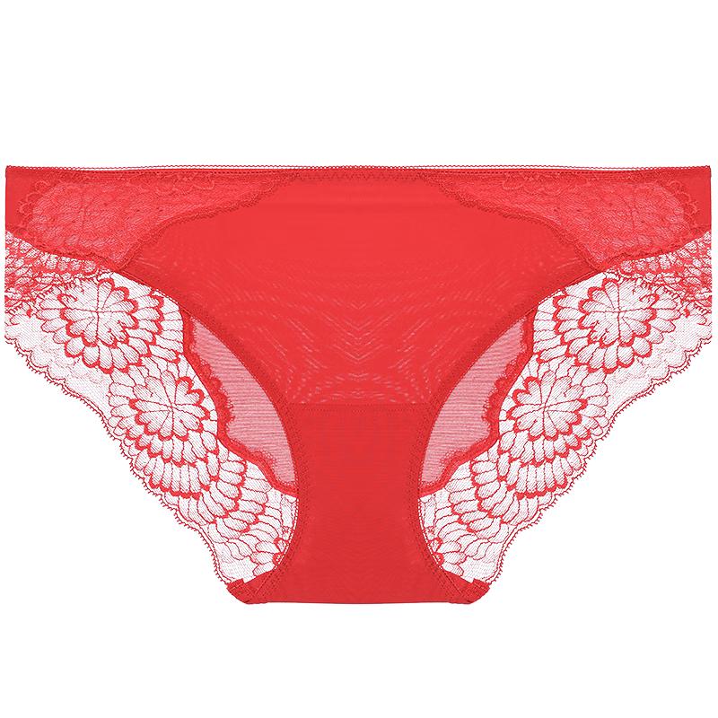

Aimer Good Things Approaching Lace Mid-Waist Briefs M