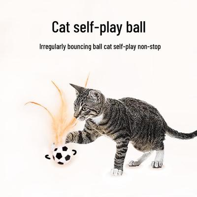 Gatti – Giocattoli per gatti