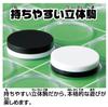 Hanayama Portable Game Big Ages Reversi, Size, 6+