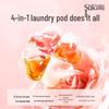 SUKGARDEN Stain Removal Laundry Set