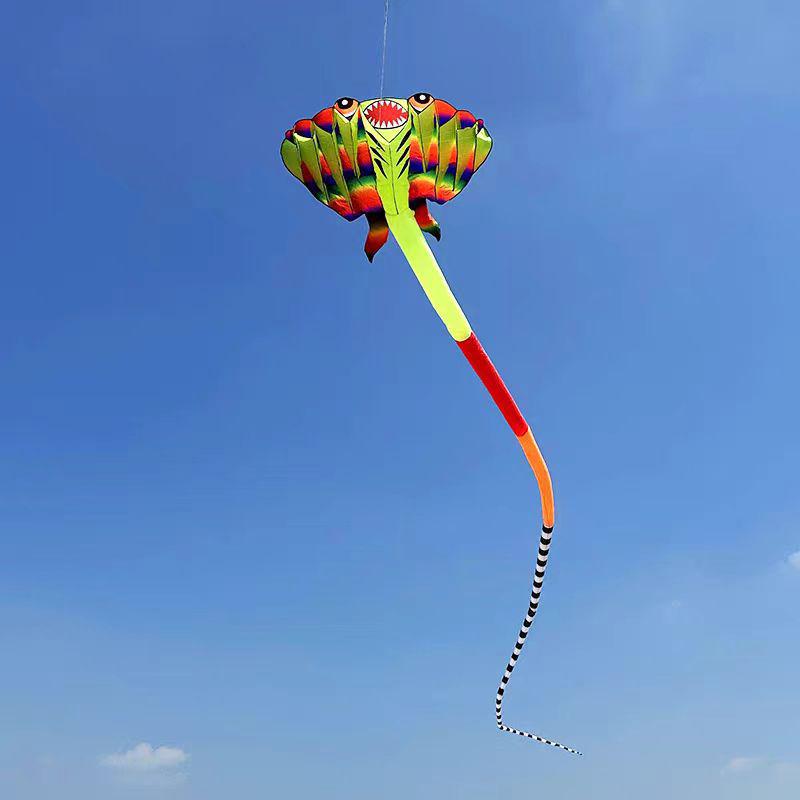 Weifang 3D Měkký Paprskový Drak: Snadno létající dospělý drak s dlouhým ocasem