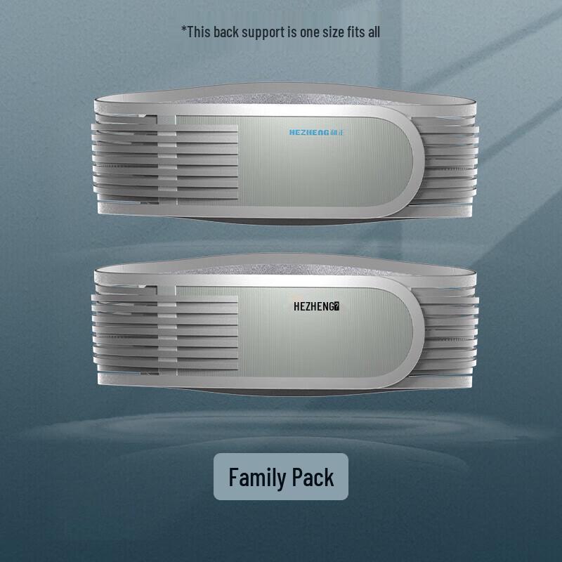 Hezheng HZ-Y10 Electric Waist Massager