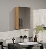 Pola Bathroom Cabinet 1 Door Artisan Mirror